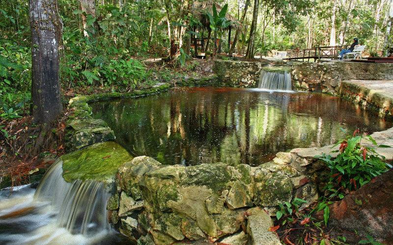 Amazon EcoPark Jungle Lodge